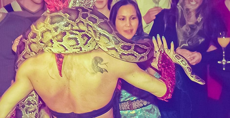 Machtig marrakech python bedrijfsfeest